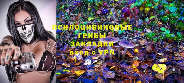 кристаллы Абаза