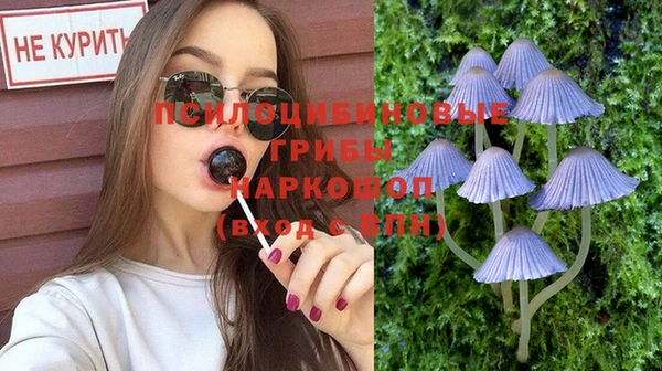амф Алзамай