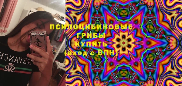ПСИЛОЦИБИНОВЫЕ ГРИБЫ Алексин